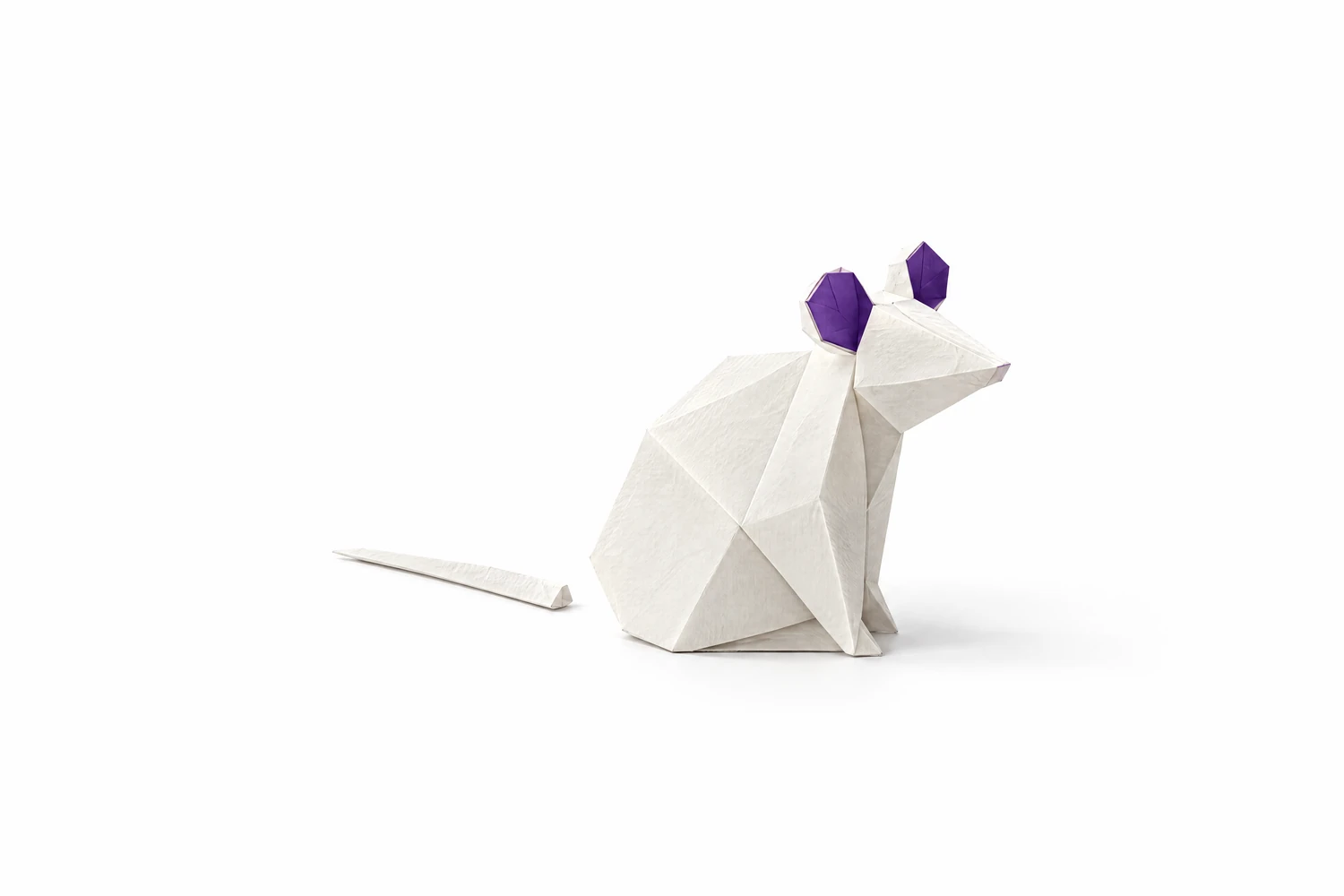 Eine Ratte aus gefaltetem weißem Papier sitzt am Boden, ihr Schwanz liegt ein Stück hinter ihr. Nur das Innere der Ohren ist violett.